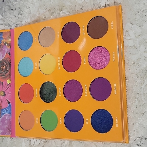 Color Story - Picture 2 of 6